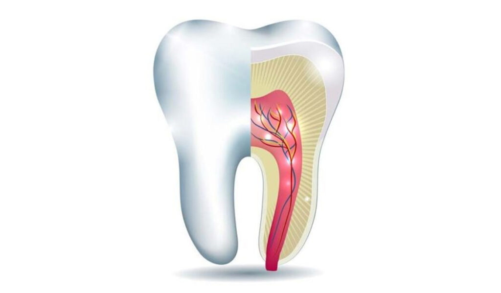 Cosmetic Dentist | Long in The Tooth