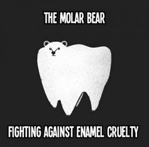 molarbear